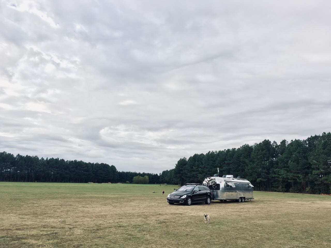 Alone in a wide green field under a big sky